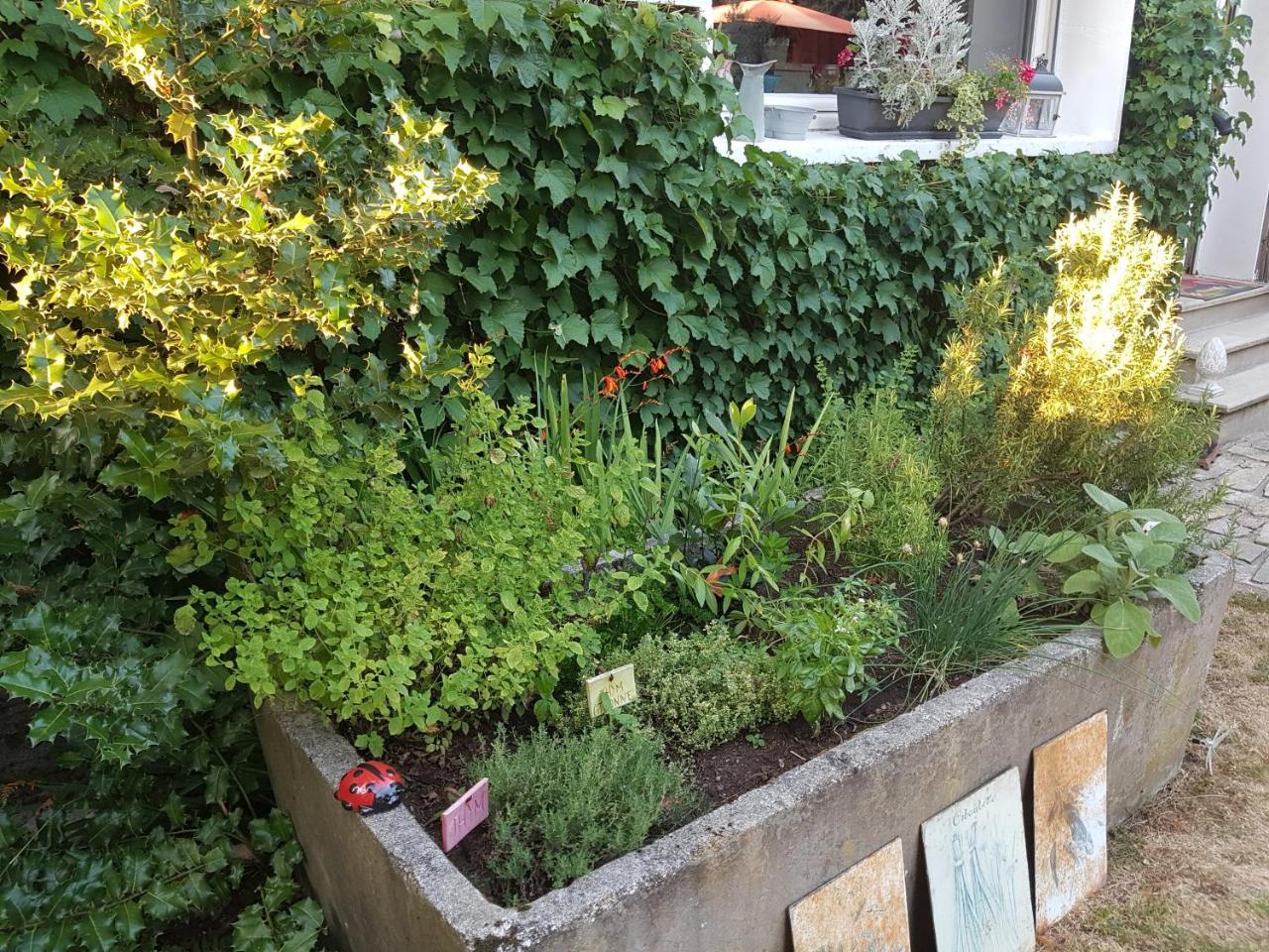 Bed and Breakfast L'Escarbotine Friville-Escarbotin Esterno foto